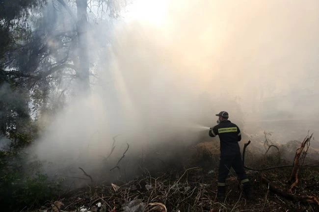 Πυρκαγιά σε δασική έκταση στο Σταυράκι των Ιωαννίνων